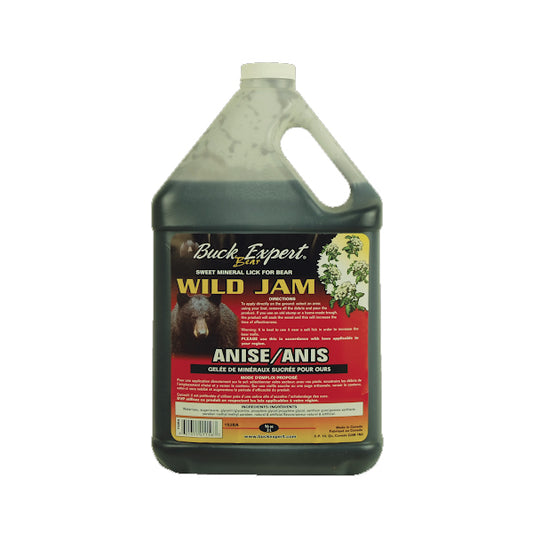 Wild Jam - Bear